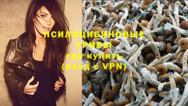 марки nbome Белокуриха